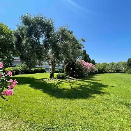 Appartement Au Centre De Avec Terrasse Saint-Tropez