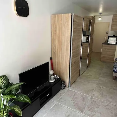 Au Centre De Avec Terrasse Appartement *