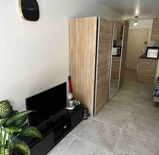 Au Centre De Avec Terrasse Apartman *
